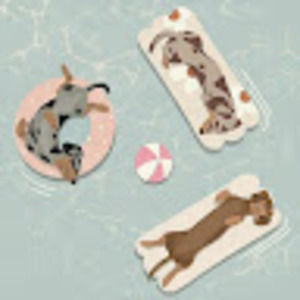 Meet your Posher, Corinne